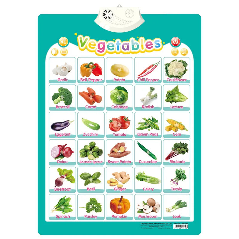 Electronic English Alphabet Wall Chart Talking ABC Letters 123s