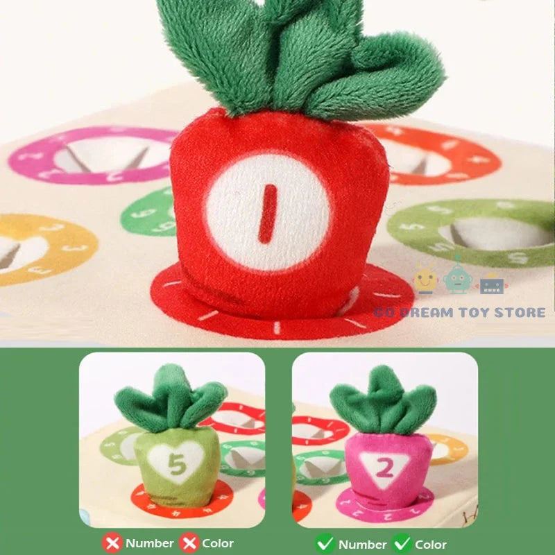 Baby Montessori Toy Toddler Fine Motor Skills Training Color Learning