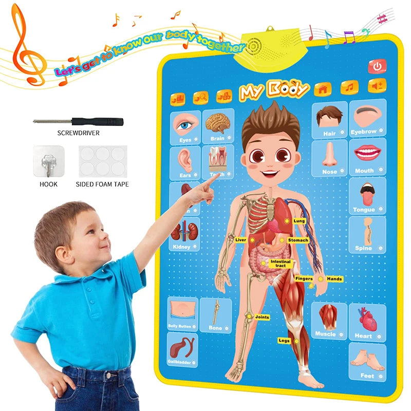 Electronic English Alphabet Wall Chart Talking ABC Letters 123s
