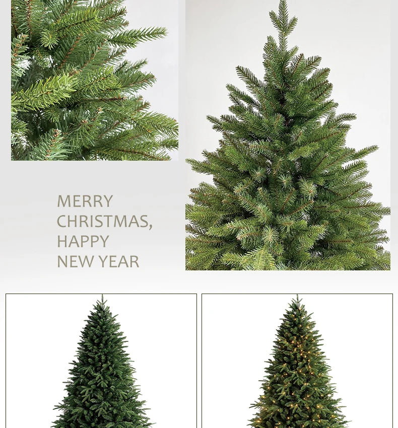 Christma tree encrypted branches with lights