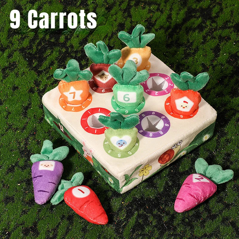 Baby Montessori Toy Toddler Fine Motor Skills Training Color Learning