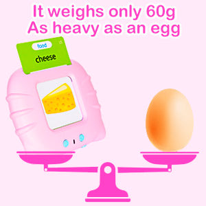 Talking Flash Cards Early Educational Toy