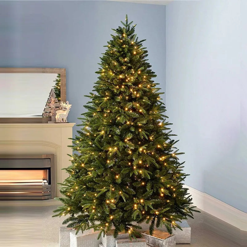 Christma tree encrypted branches with lights