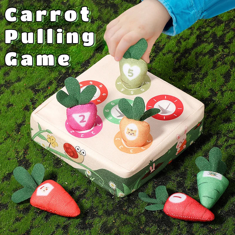 Baby Montessori Toy Toddler Fine Motor Skills Training Color Learning