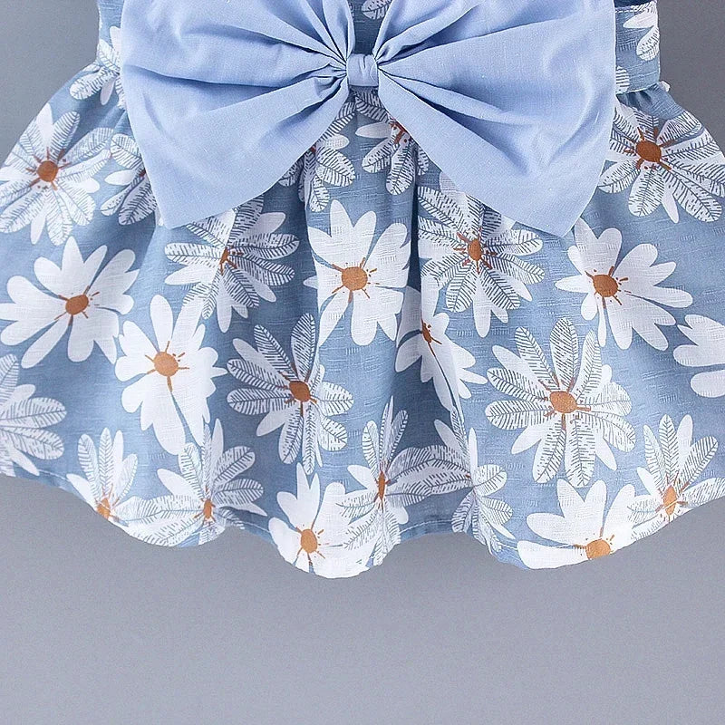 Princess Dress